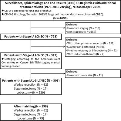 Survival After Lobectomy vs. Sublobar Resection for Stage IA Large-Cell Neuroendocrine Carcinoma of the Lung: A Population-Based Study